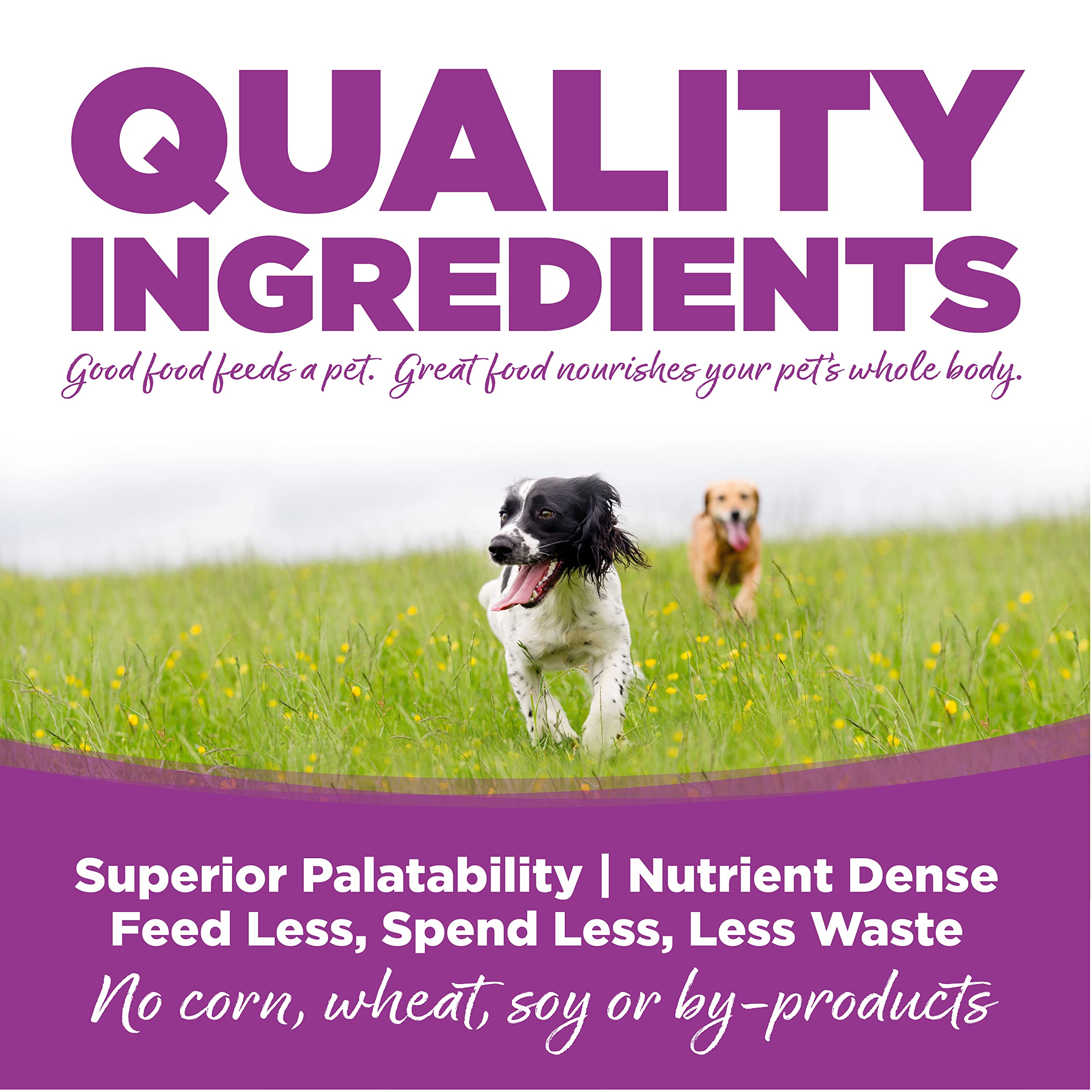 NutriSource label and guaranteed analysis for clear ingredient transparency benefit