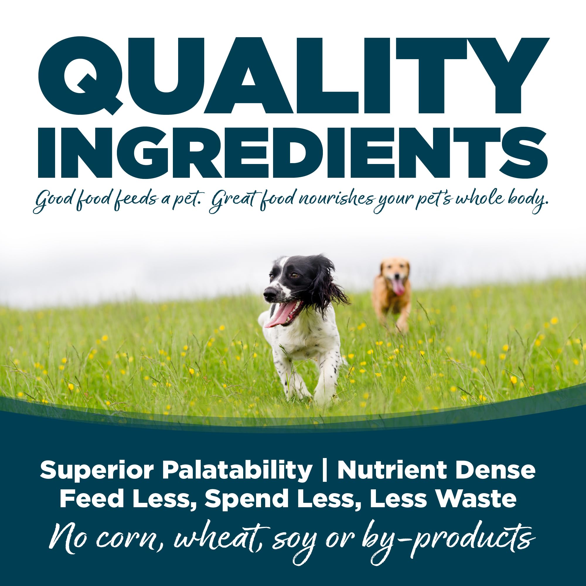 NutriSource served in bowl illustrating appetizing chicken flavor