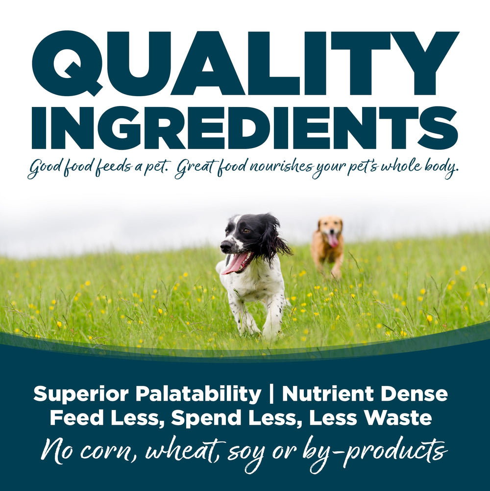 NutriSource served in bowl illustrating appetizing chicken flavor