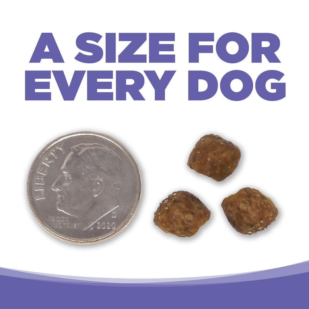 NutriSource 4 lb bag next to common items to show size and portability