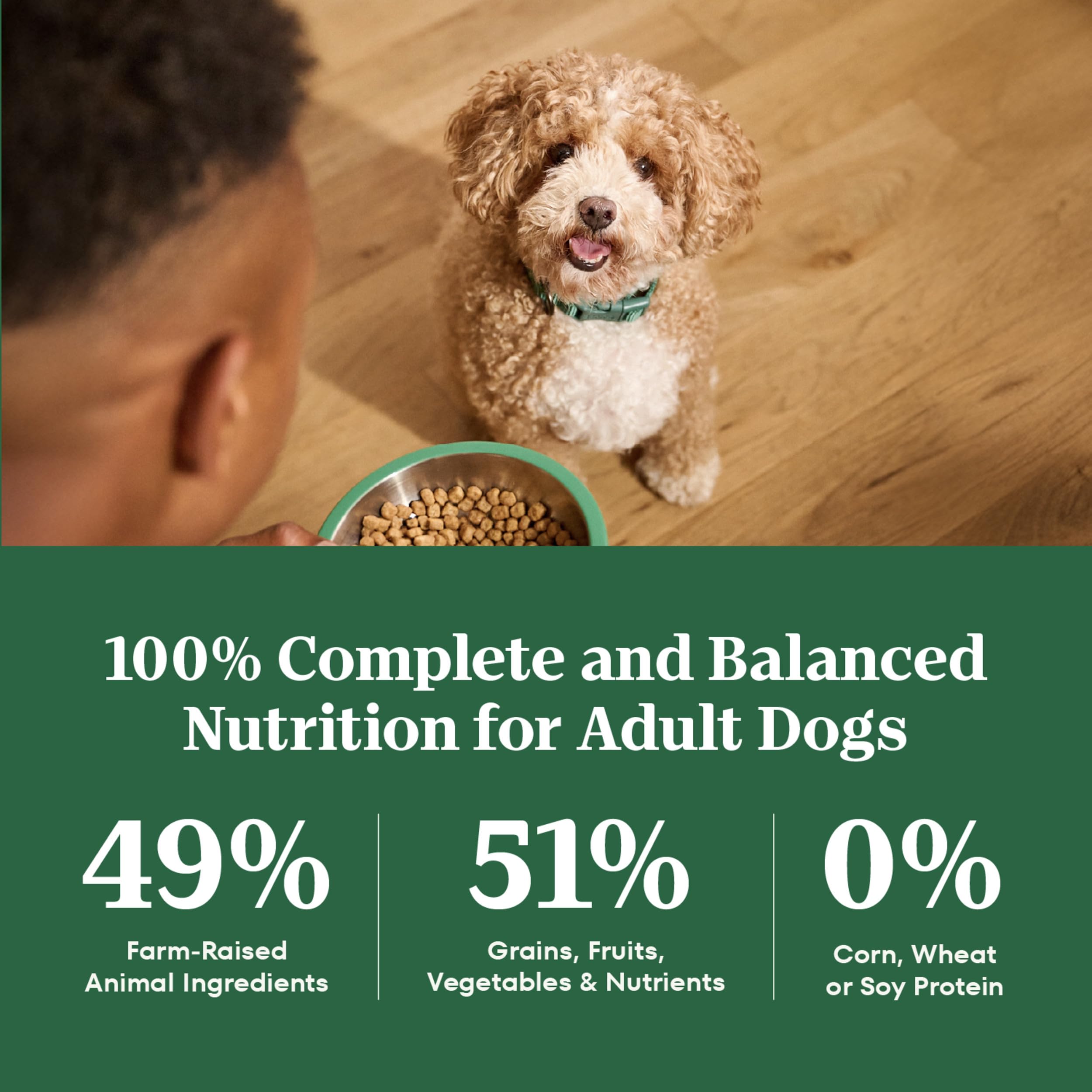 Nutro measuring cup with kibble illustrating accurate daily portions benefit