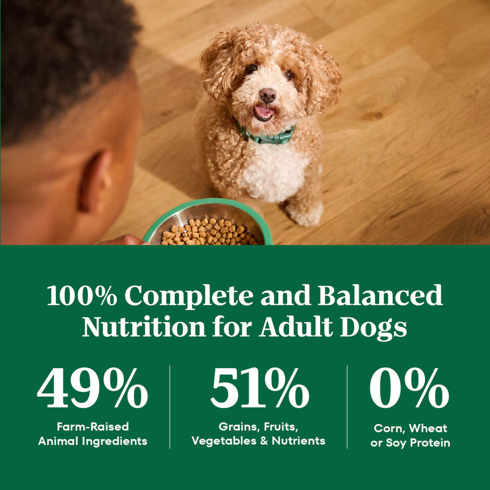 Nutro measuring cup with kibble illustrating accurate daily portions benefit