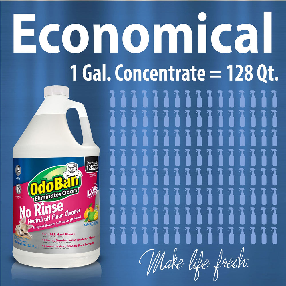 OdoBan used safely on sealed stone and sealed wood demonstrating surface protection