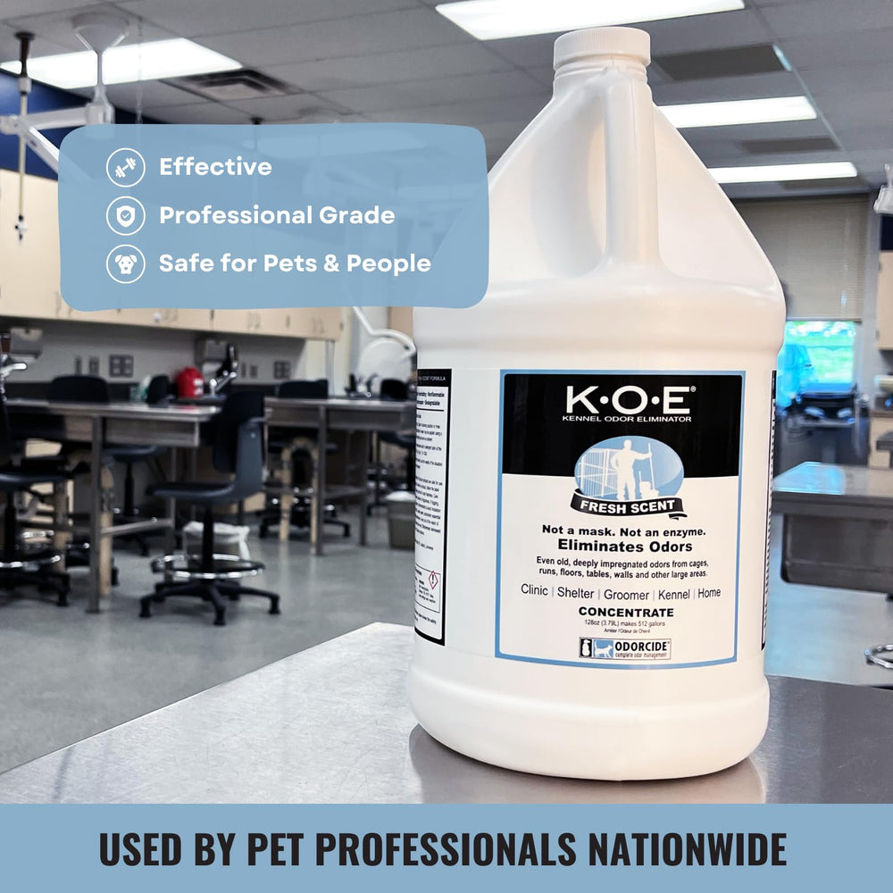 Odorcide K.O.E. one-gallon jug next to common items for scale and value