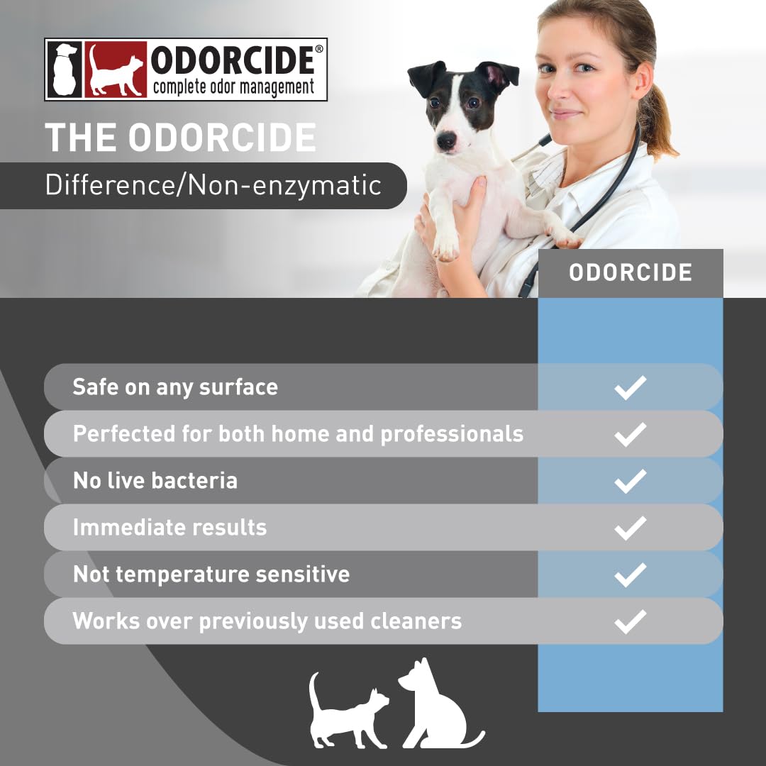 Odorcide K.O.E. sprayed on floor showing coverage and quick-drying benefit