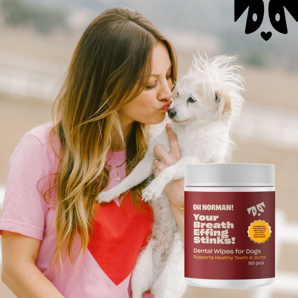OH NORMAN! compact tub in a bag, highlights travel-friendly convenience