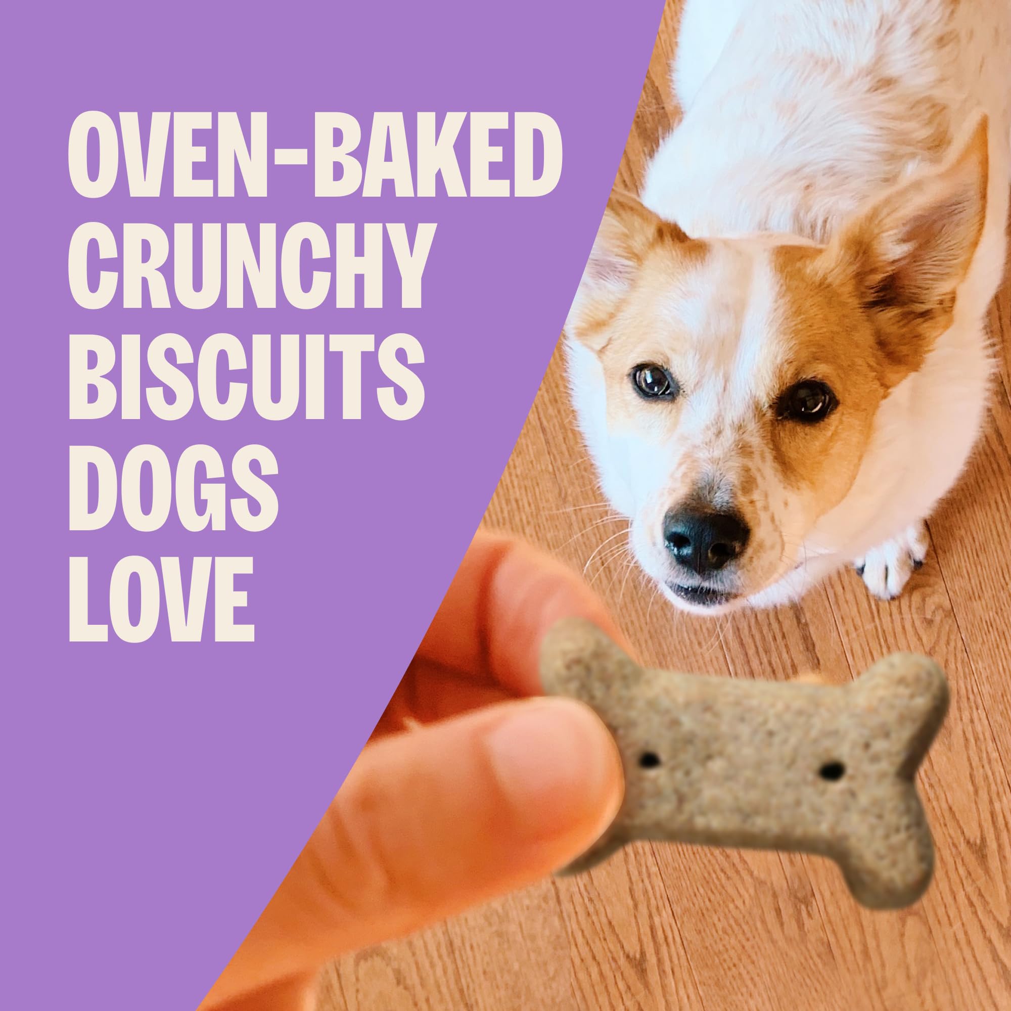 Old Mother Hubbard close-up of mini biscuit texture promoting crunchy cleaning action