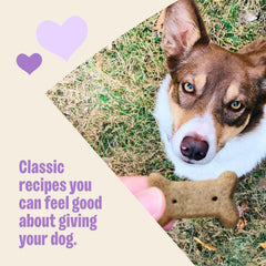 Old Mother Hubbard open box displaying many mini biscuits for plentiful training rewards