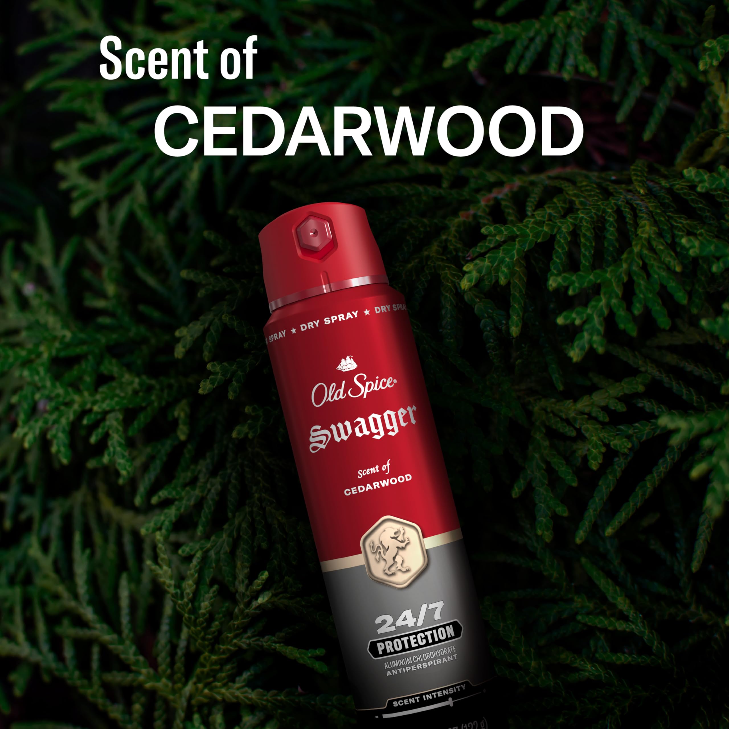 Old Spice Swagger with body wash pairing to create a layered signature scent benefit