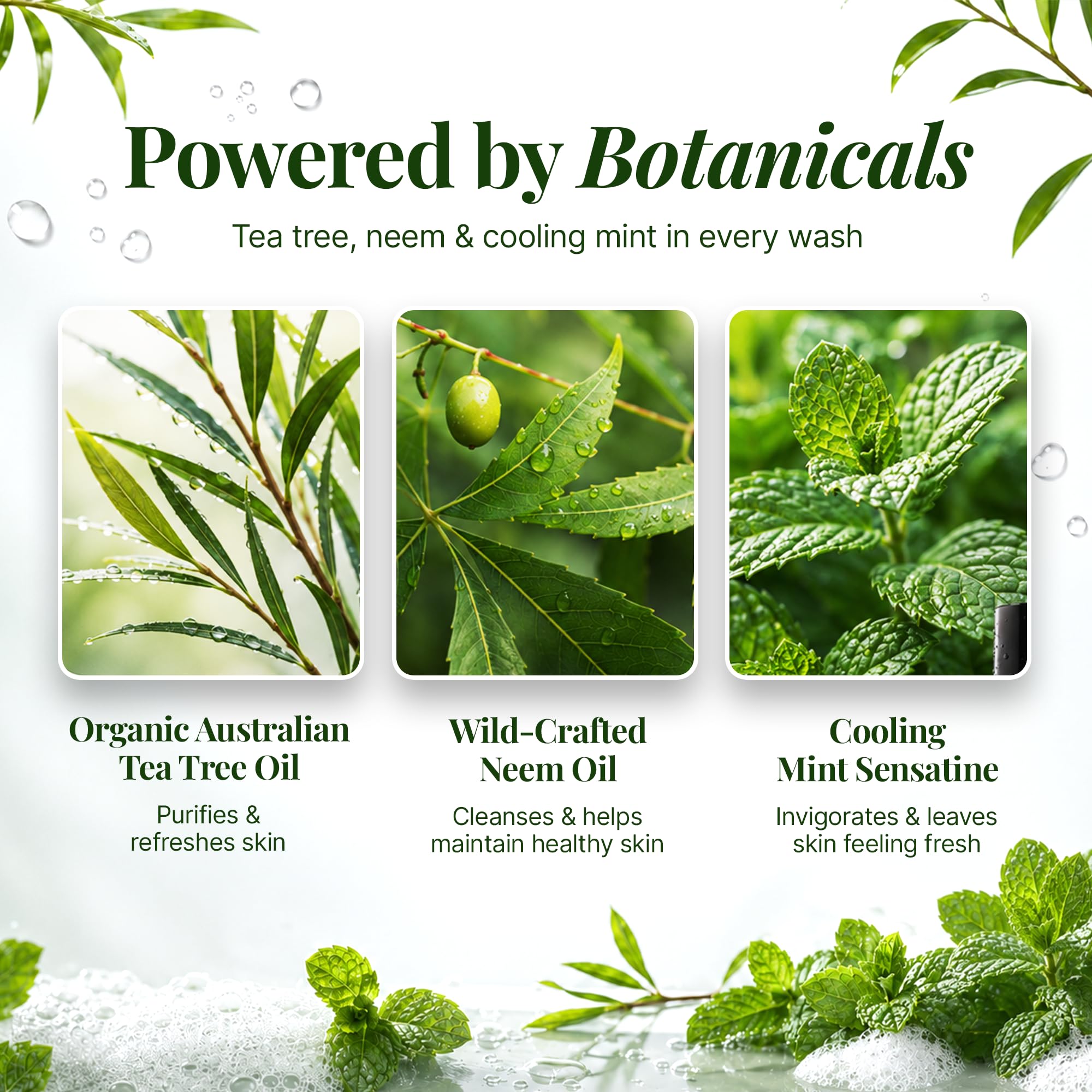 Oleavine back label close-up showing ingredient list and usage directions for clarity