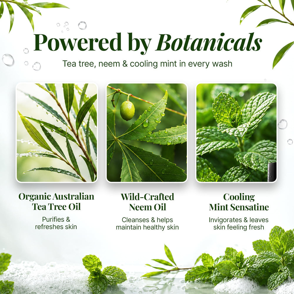 Oleavine back label close-up showing ingredient list and usage directions for clarity