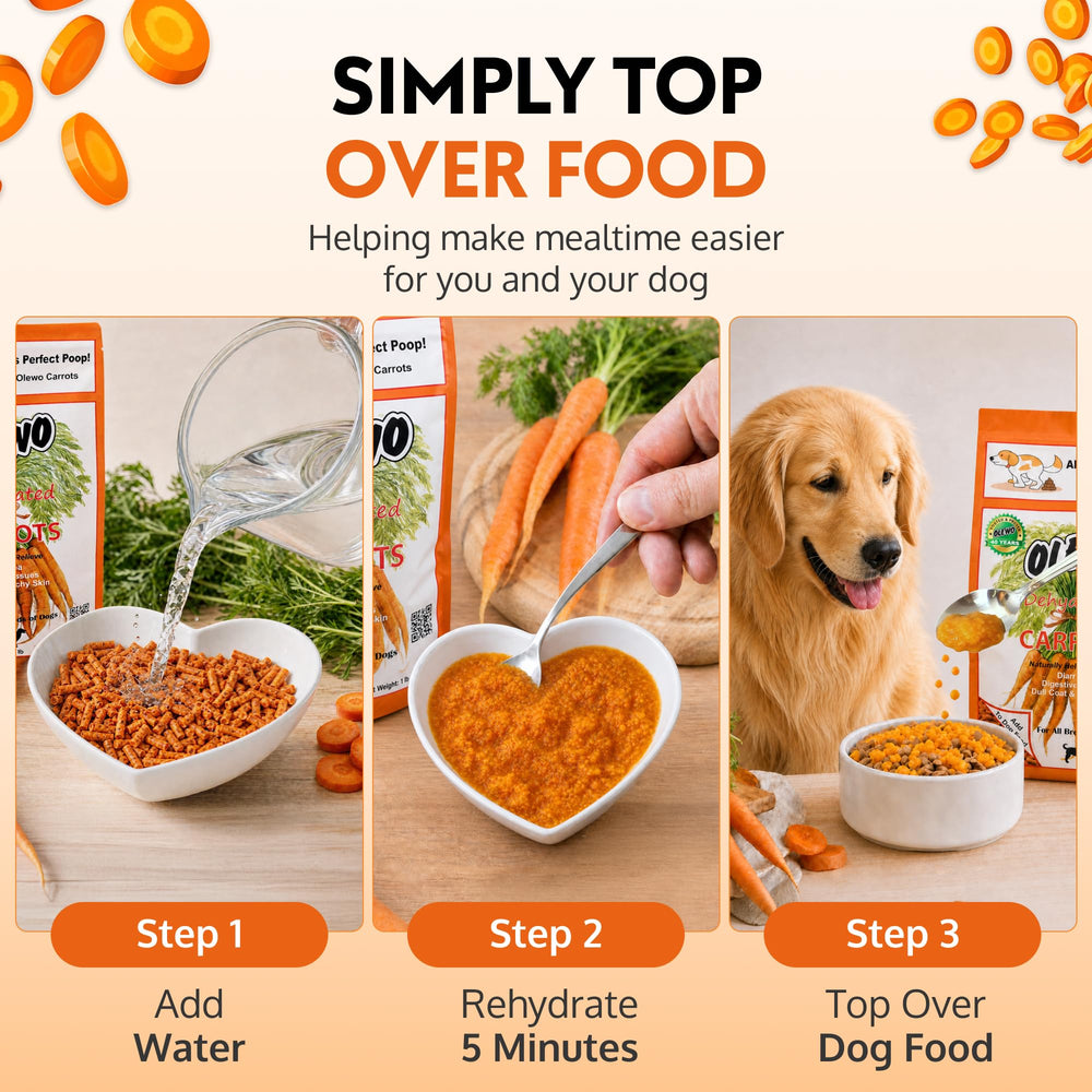 Olewo close-up dehydrated carrot texture highlighting digestible whole-food form