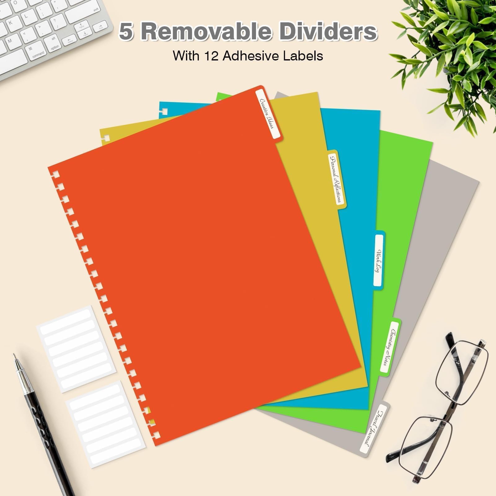 OMEYA colored dividers and labels for fast subject organization
