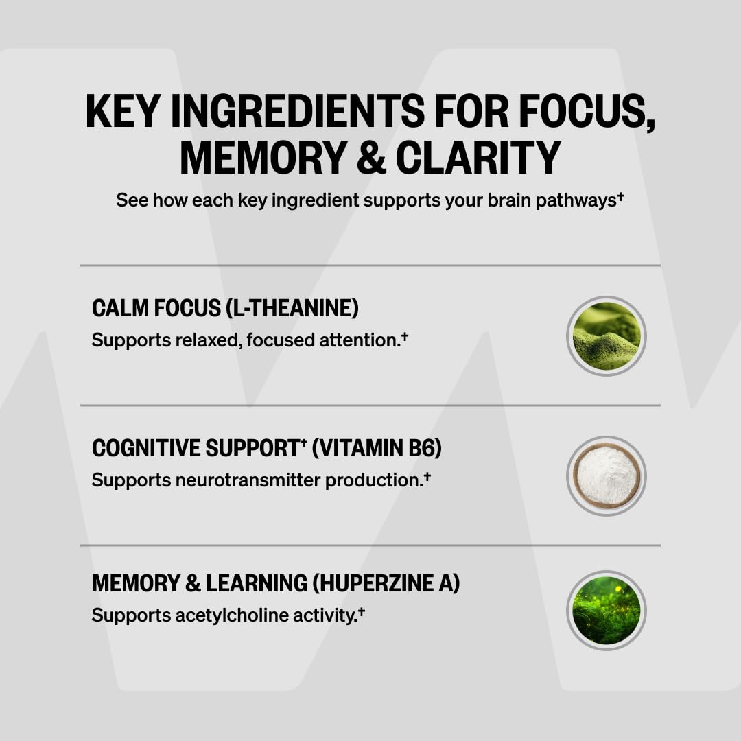 ONNIT Alpha Brain bottle on desk among notes portraying study and work support