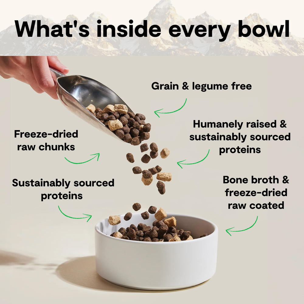 Open Farm freeze-dried raw pieces highlighting concentrated protein
