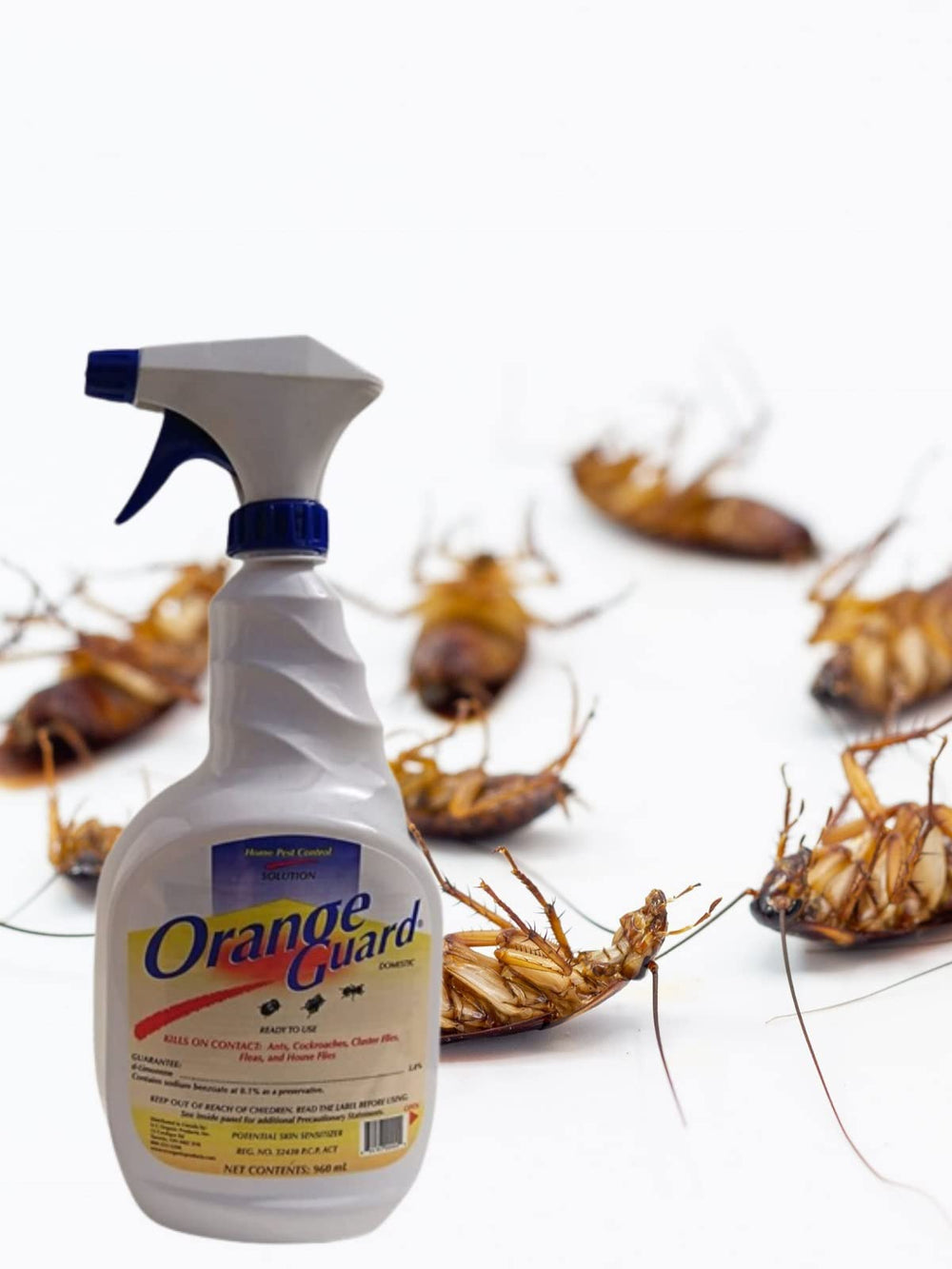 Orange Guard trigger spray close-up showing easy application and control