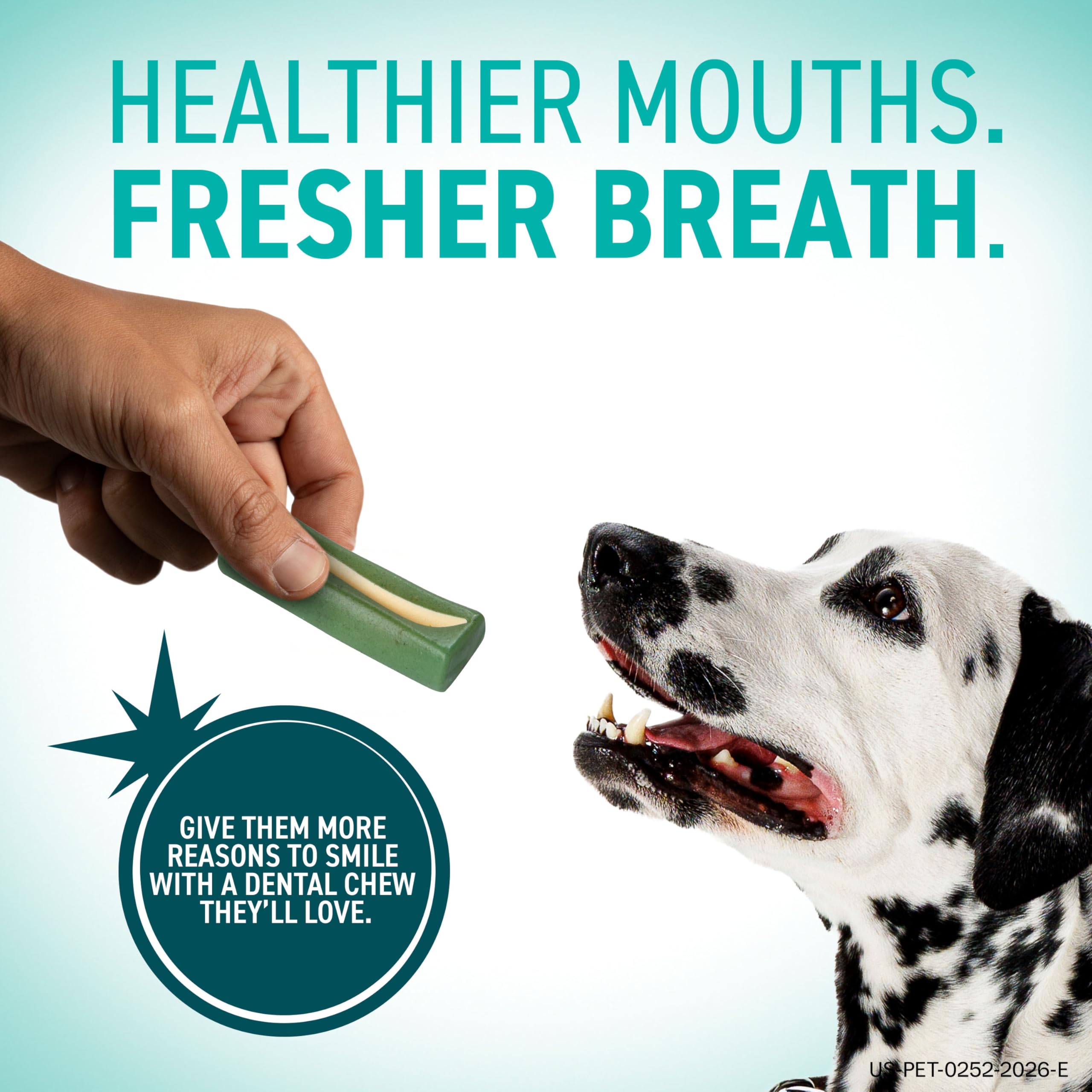 OraVet chew on floor with small dog about to chew demonstrating ease of use