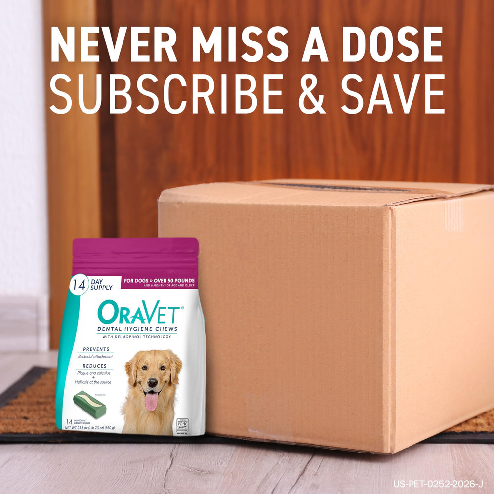 OraVet owner giving chew to dog illustrating daily routine and fresher breath