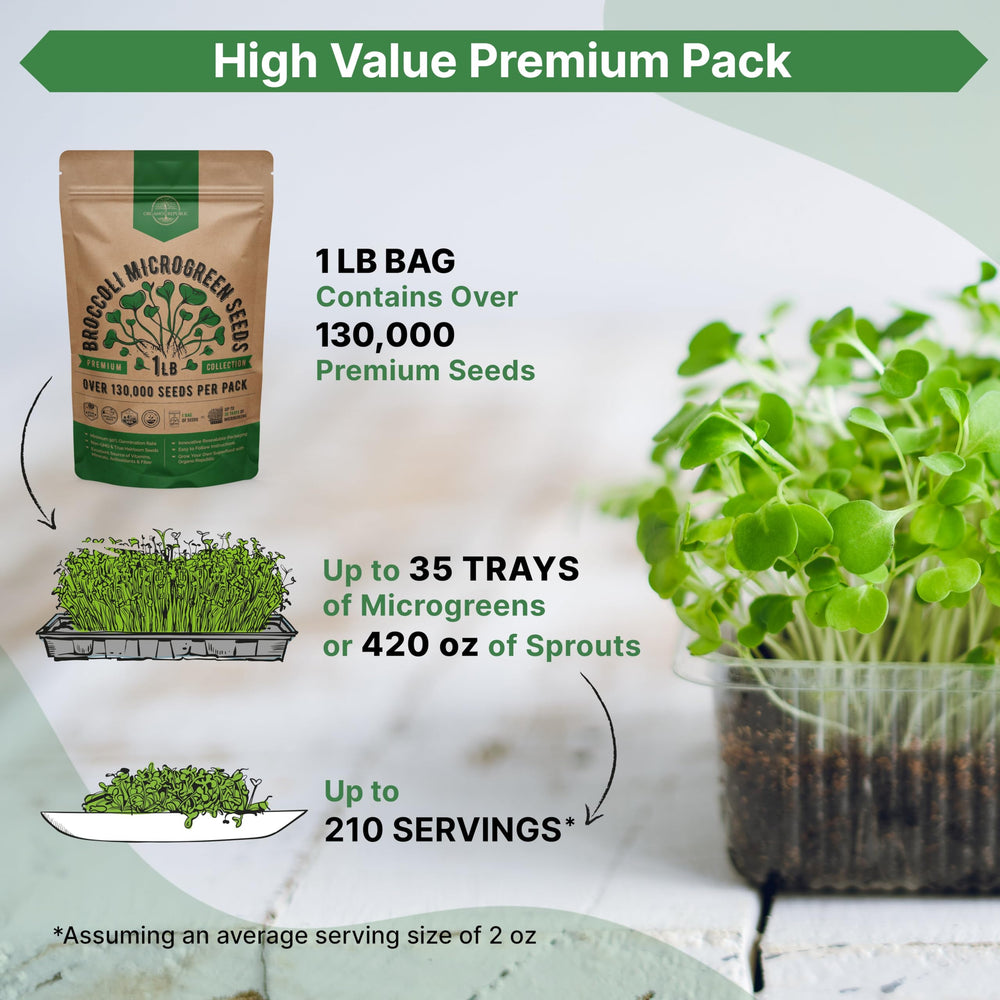 Organo Republic broccoli microgreens in a 10x20 tray, demonstrating fast harvest benefit