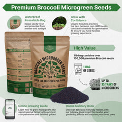 Organo Republic broccoli seeds close-up texture, illustrating seed quality and density