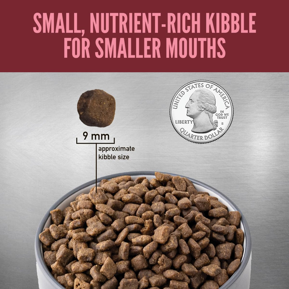ORIJEN feeding bowl filled to demonstrate portion and energy