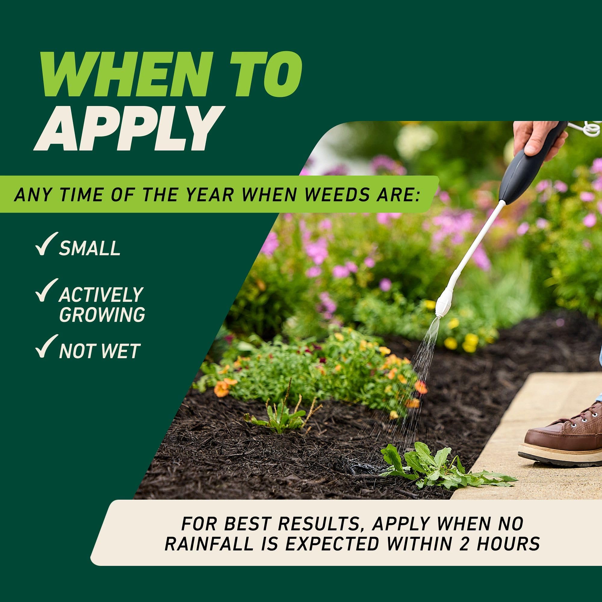 Ortho being applied to landscape bed showing accurate spot treatment benefit