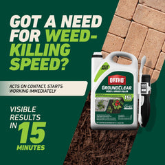 Ortho spray hitting a walkway crack showing targeted weed control benefit