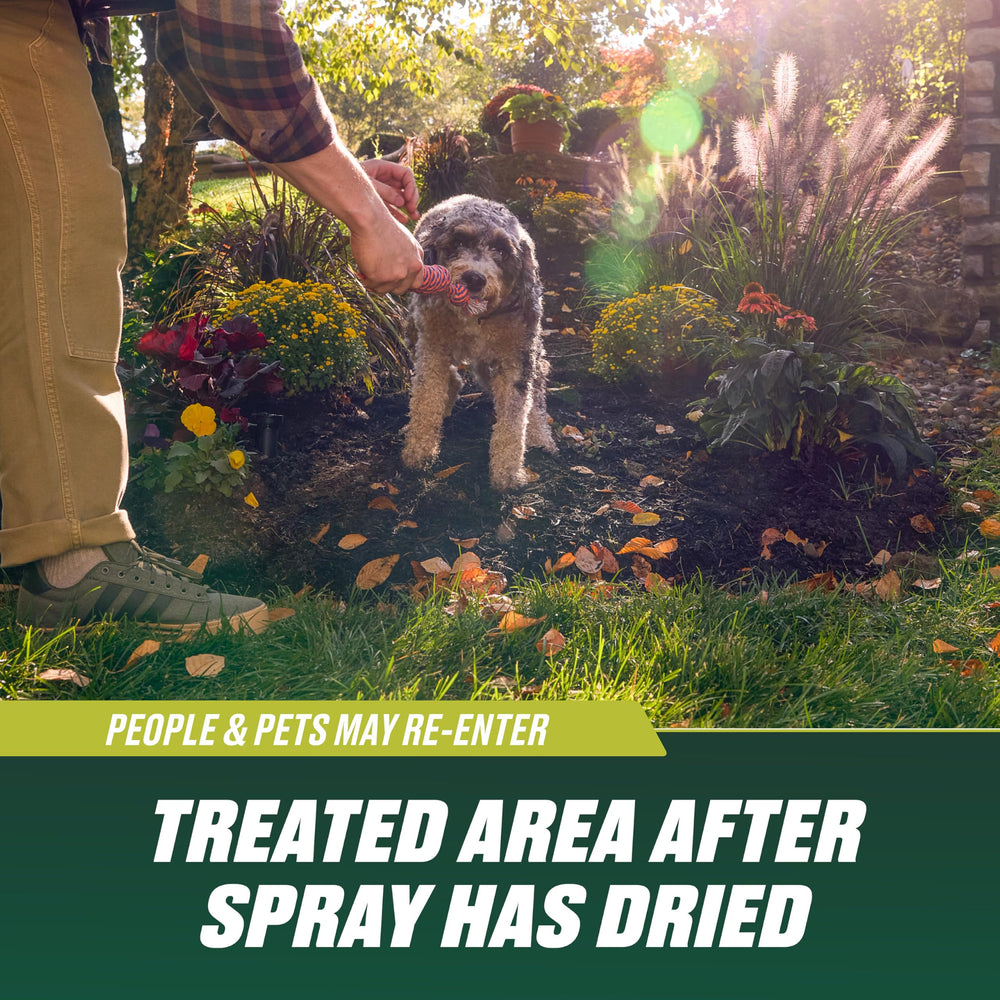 Ortho treated versus untreated patch showing weed reduction benefit