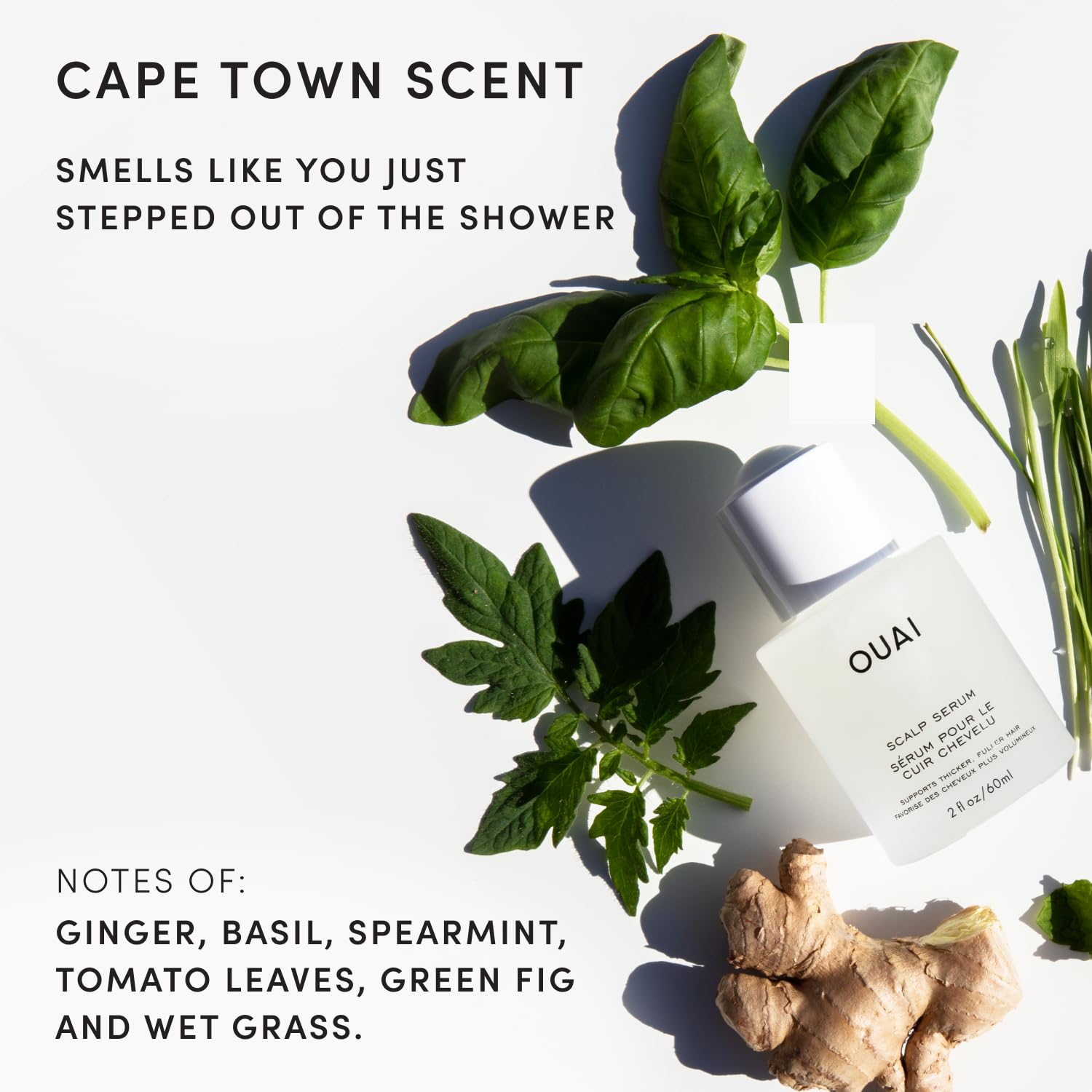 OUAI ingredients arranged highlighting adaptogens and hydration support benefit