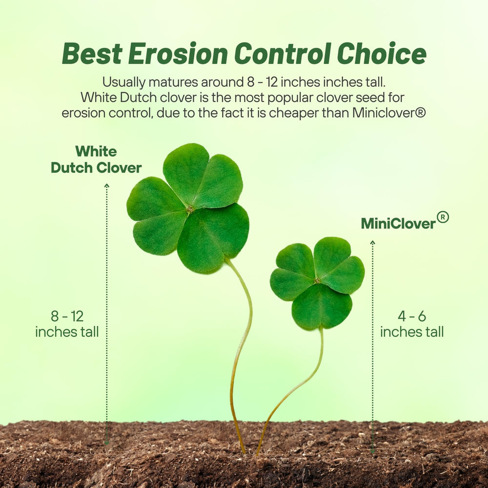 Outsidepride hands seeding soil showing easy application and quick establishment