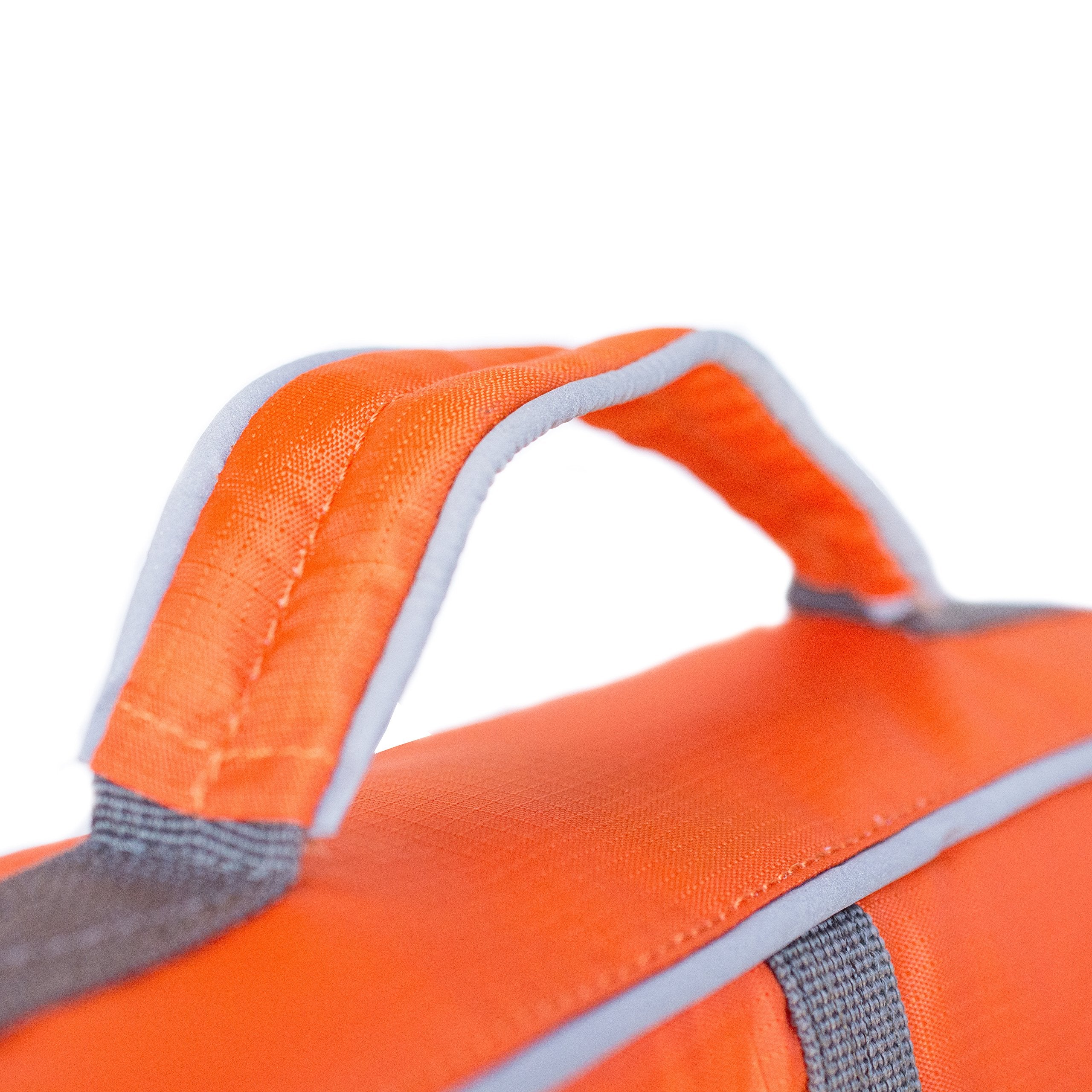 Outward Hound life jacket on small dog in pool improving comfort and safety