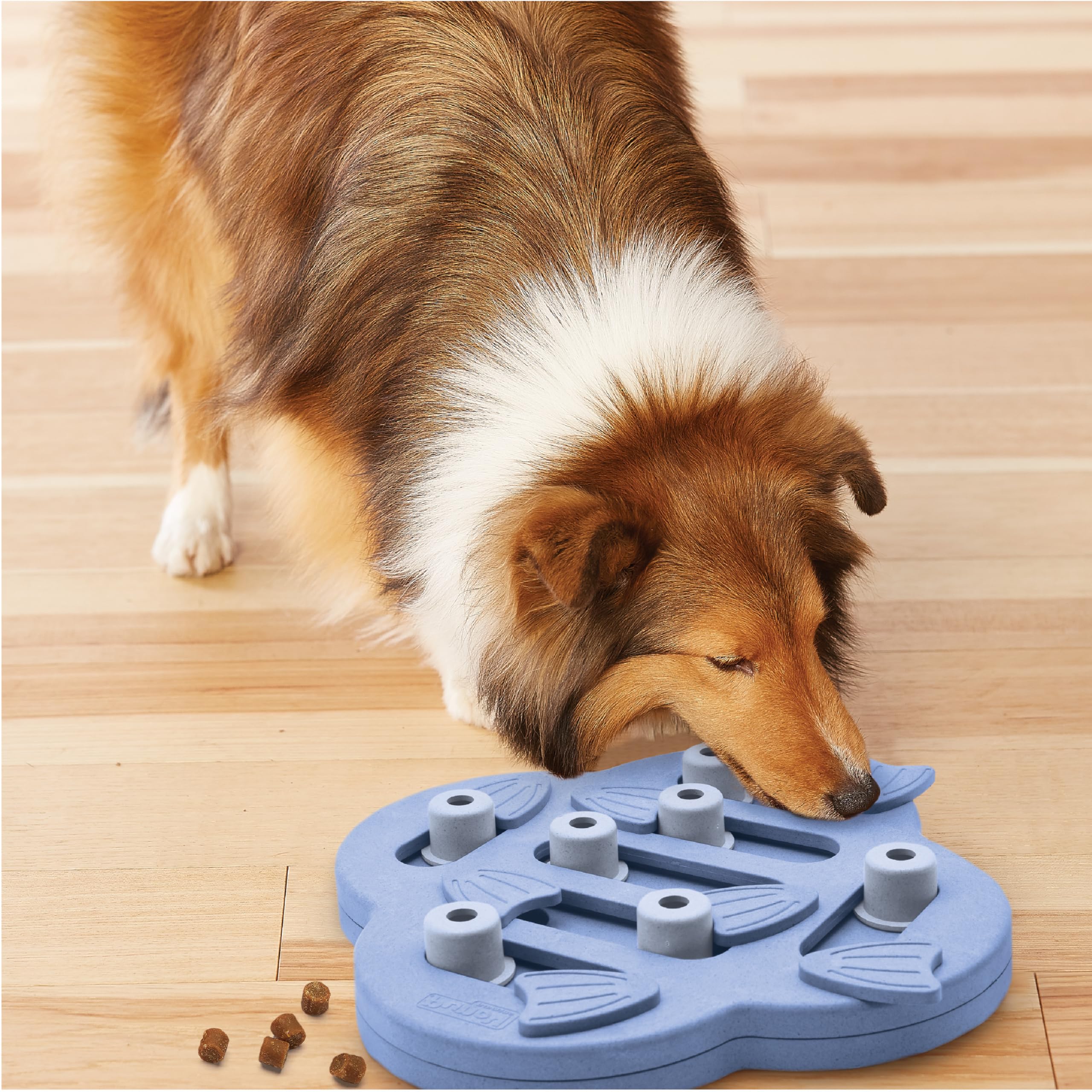 Outward Hound in living room setting illustrating boredom relief and enrichment benefit