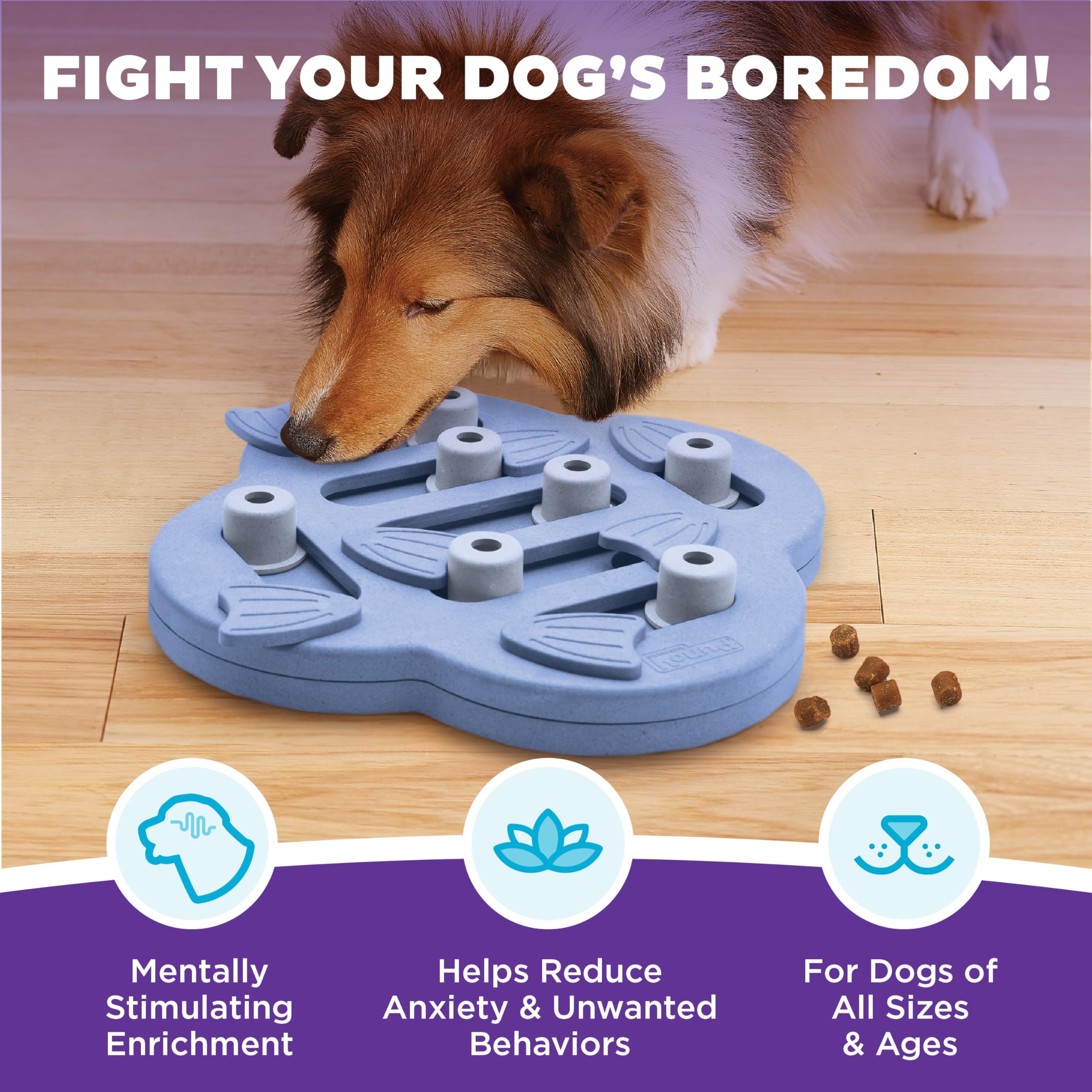 Outward Hound top view with open compartments demonstrating treat placement benefit