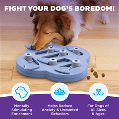 Outward Hound top view with open compartments demonstrating treat placement benefit