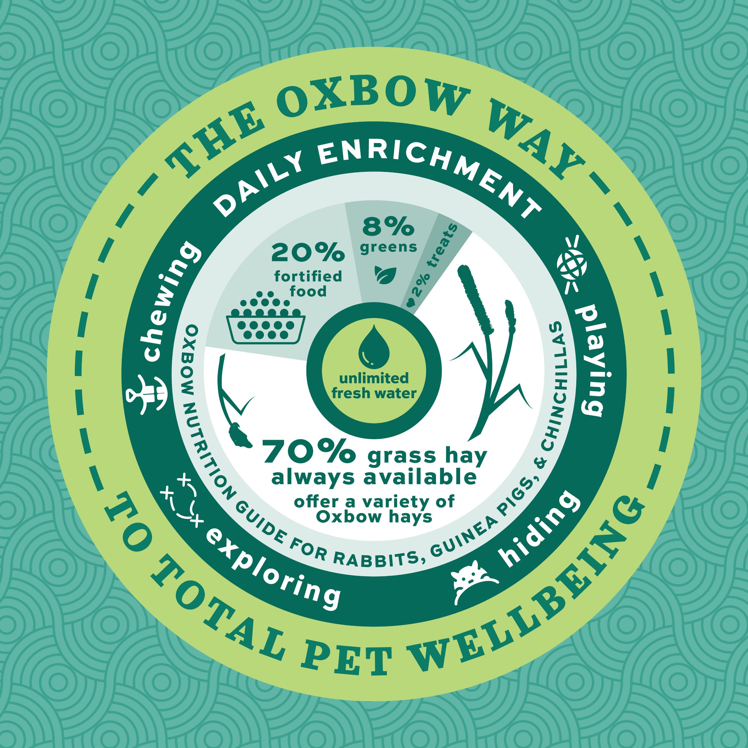 Oxbow healthy rabbit coat lifestyle illustrating improved coat condition