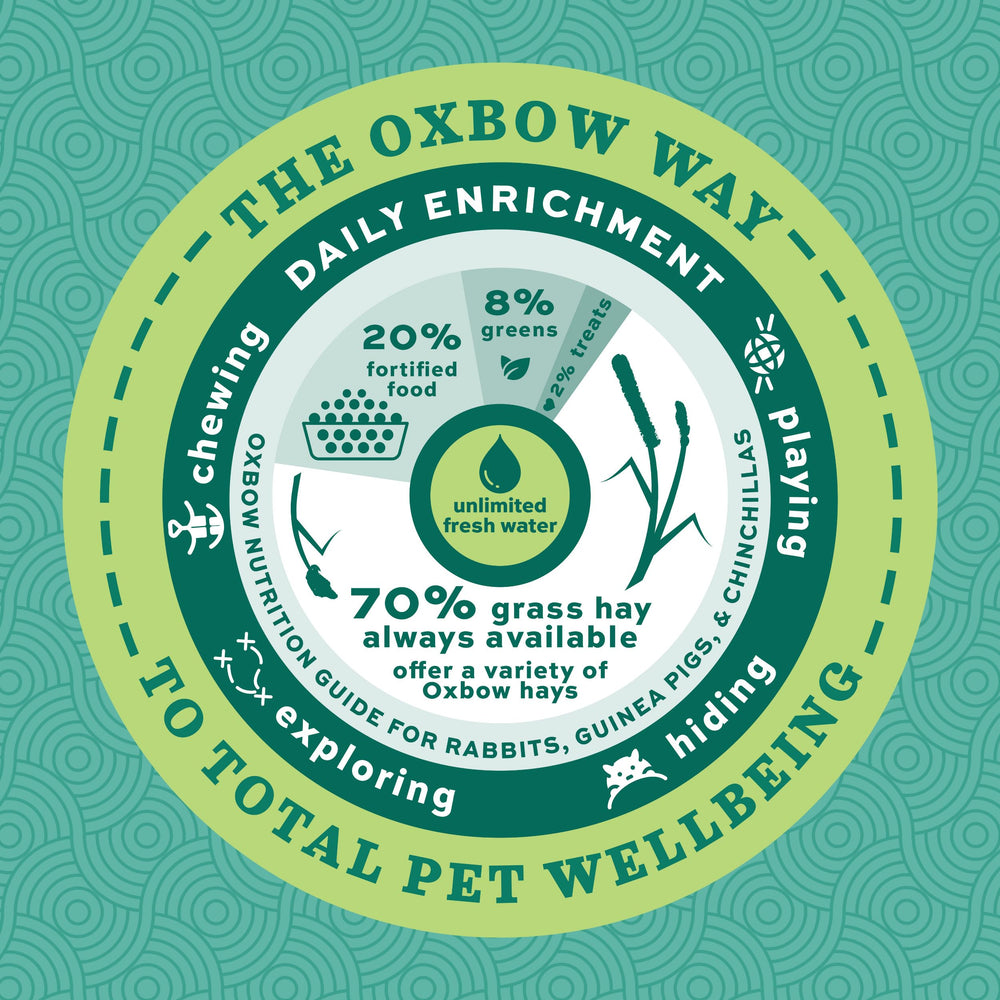 Oxbow healthy rabbit coat lifestyle illustrating improved coat condition