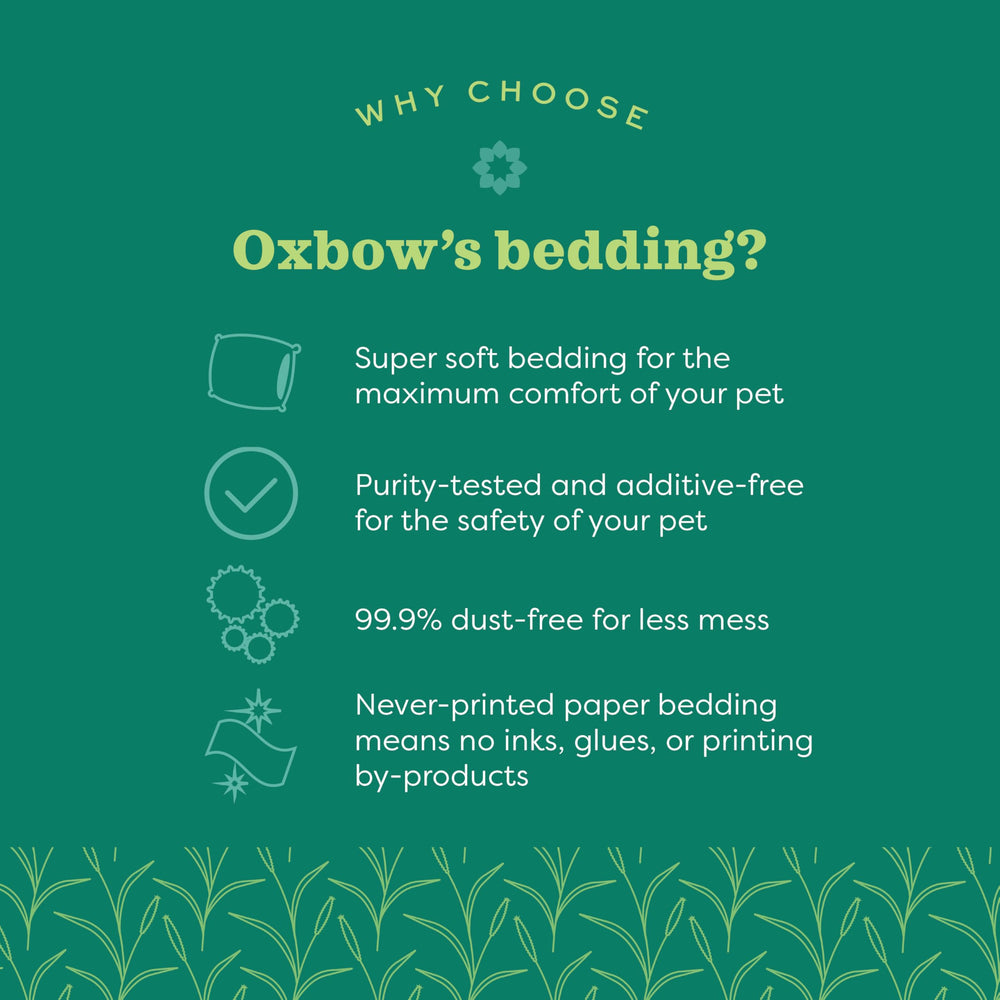 Oxbow dust-free label highlighting reduced dust benefits