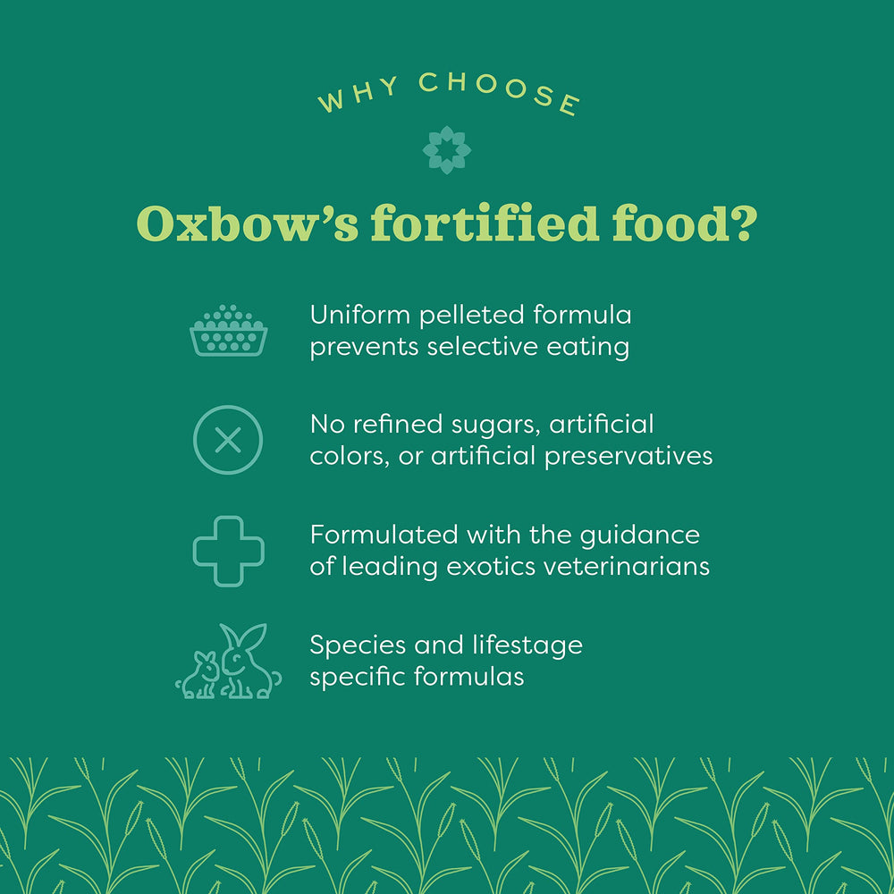Oxbow pellets in a bowl ready to serve with clear portioning benefits