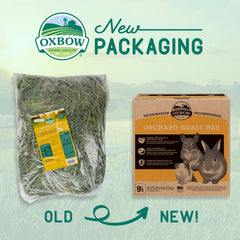 Close-up of orchard grass stems from Oxbow highlighting soft texture benefit