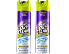 OxiClean front packaging showing two 19 oz cans and product name for easy identification and value