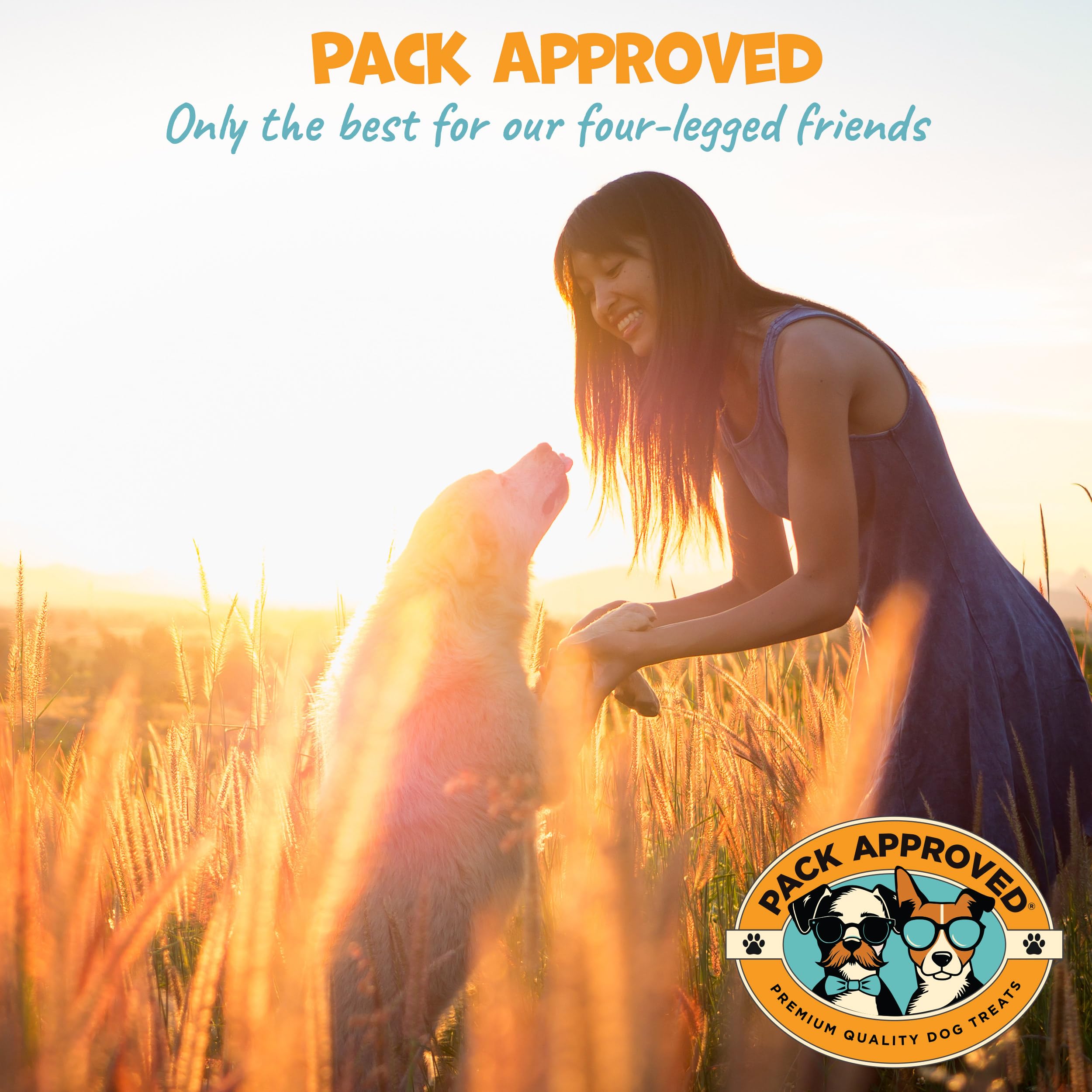 Pack Approved rolls stored in airtight container preserving freshness and convenience