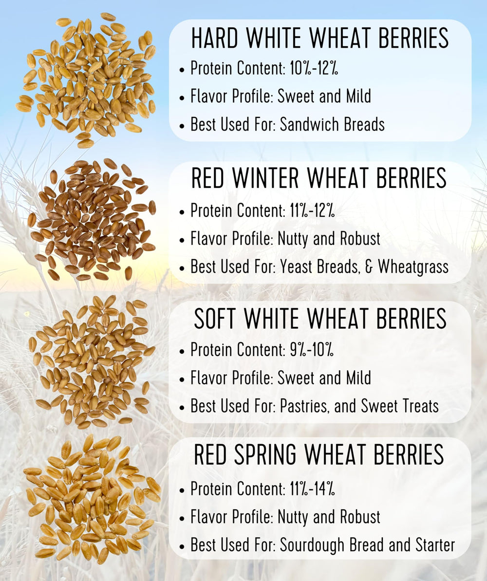 prepared grain salad made with Palouse Brand wheat berries for meal ideas