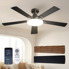 Passky front view of 52-inch ceiling fan showing modern low-profile design and balanced airflow