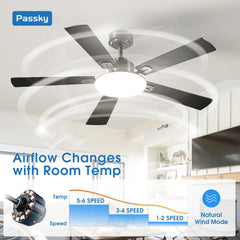 Passky remote control image showing buttons for speeds, light, timer and easy adjustments