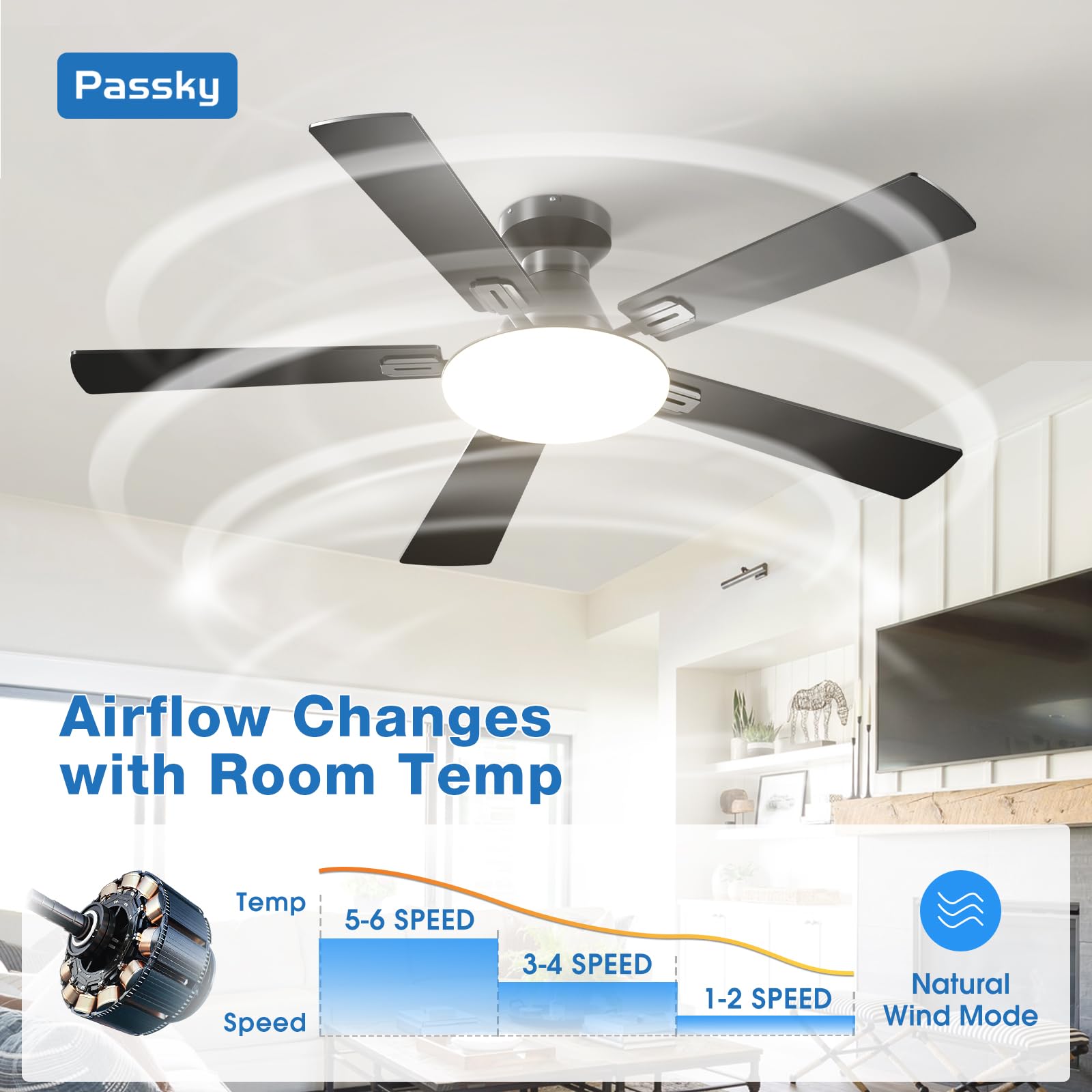 Passky remote control beside wall plate for easy fan and light operation and timer use