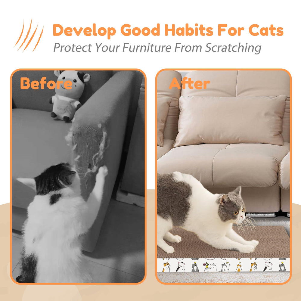 PatiencET package with four pads and catnip to attract cats