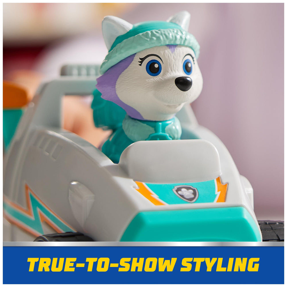 Paw Patrol lifestyle playset scene showing imaginative group play benefits