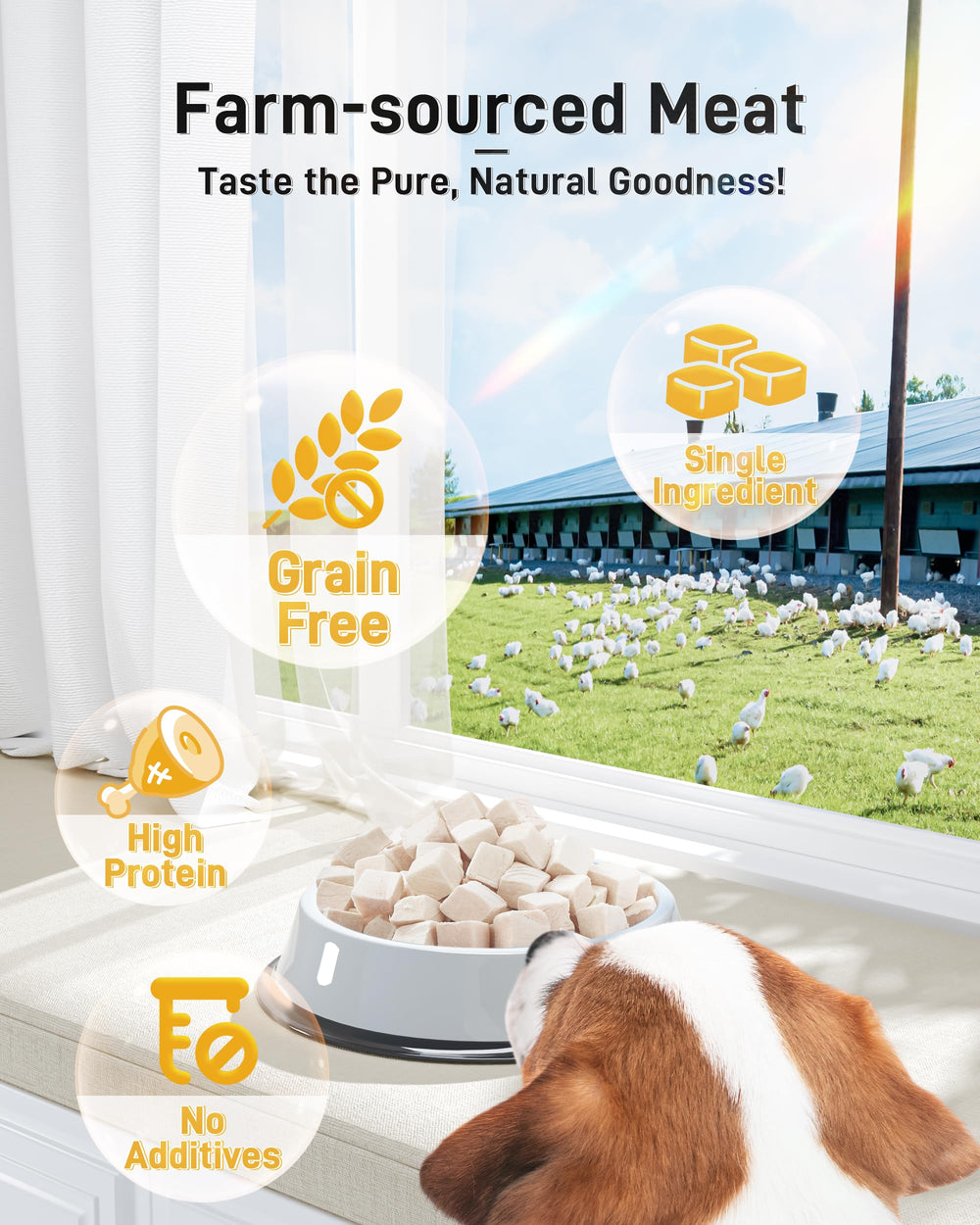 Pawaura treat held between fingers highlighting lightweight crunch