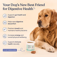 Pawfy chew close-up texture highlighting palatable, easy-to-chew benefit