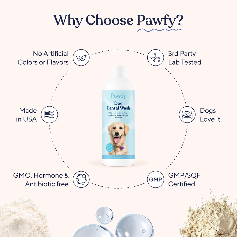 Owner and dog together with Pawfy-treated water for routine oral hygiene